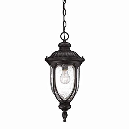 Acclaim 2216BC Laurens Collection 1-Light Outdoor Light Fixture Hanging Lantern, Black Coral