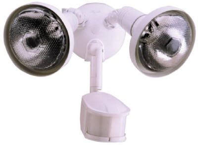 Security Motion Floodlight