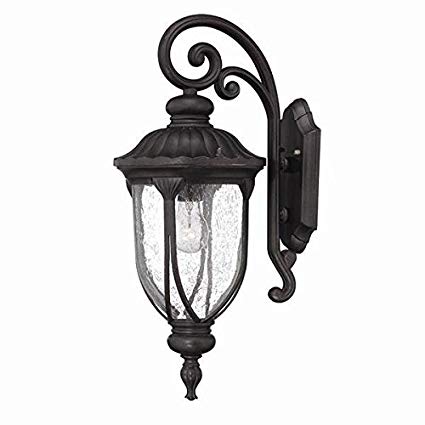 Acclaim 2212BC Laurens Collection 1-Light Wall Mount Outdoor Light Fixture, Black Coral