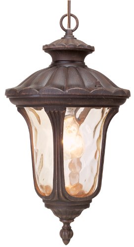 Livex Lighting 7654-58 Oxford 1 Light Imperial Bronze Cast Aluminum Hanging Lantern with Light Amber Water Glass